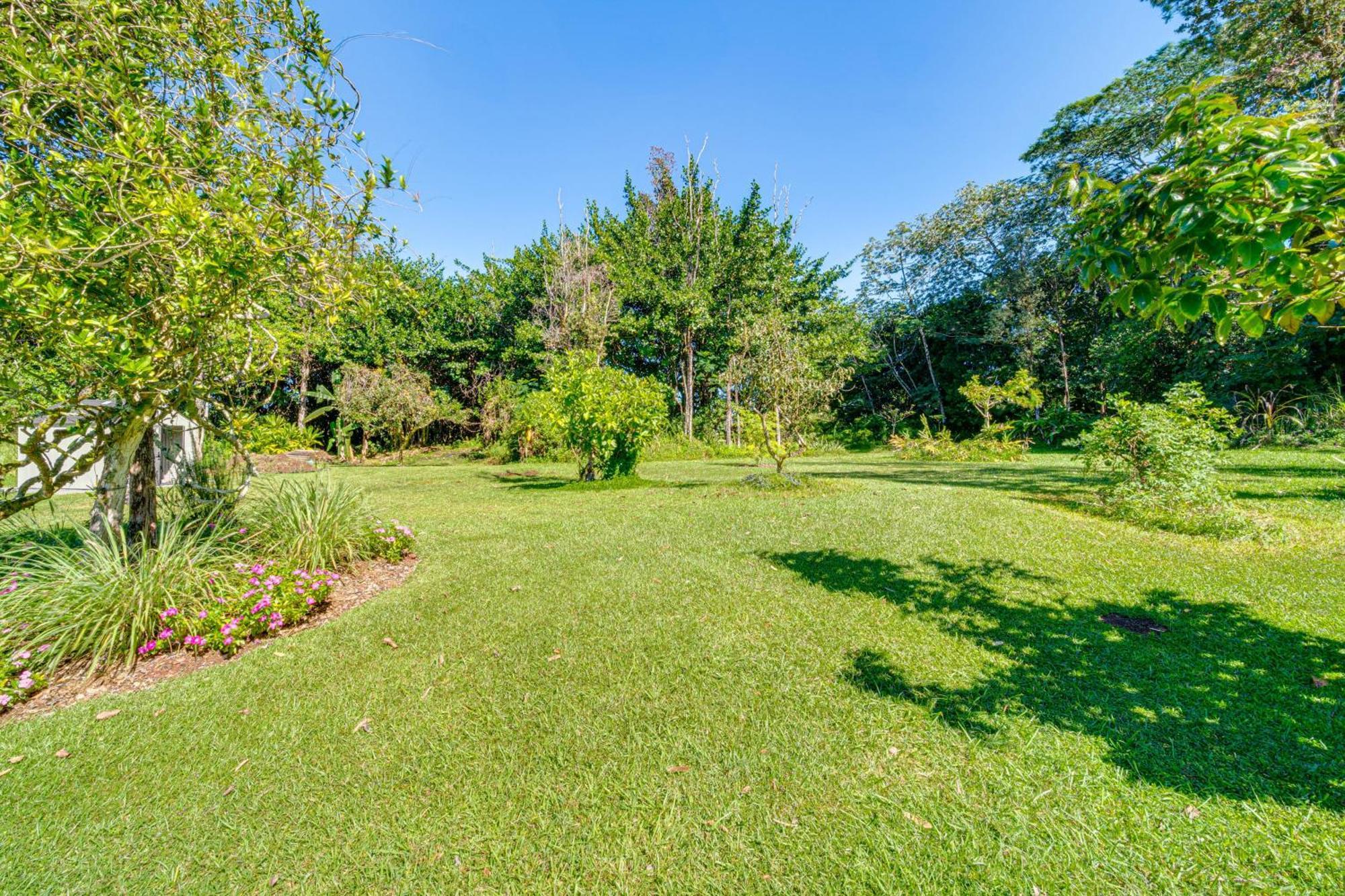 Keaau Apartment On Beautiful Acre With Pool And Deck! 외부 사진
